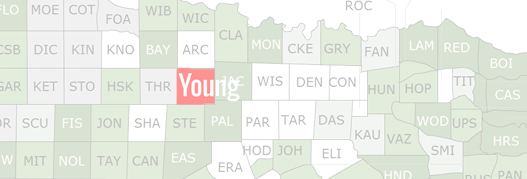 Young County Map
