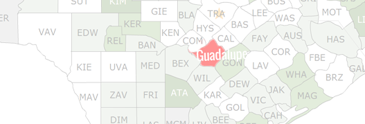 Guadalupe County Map